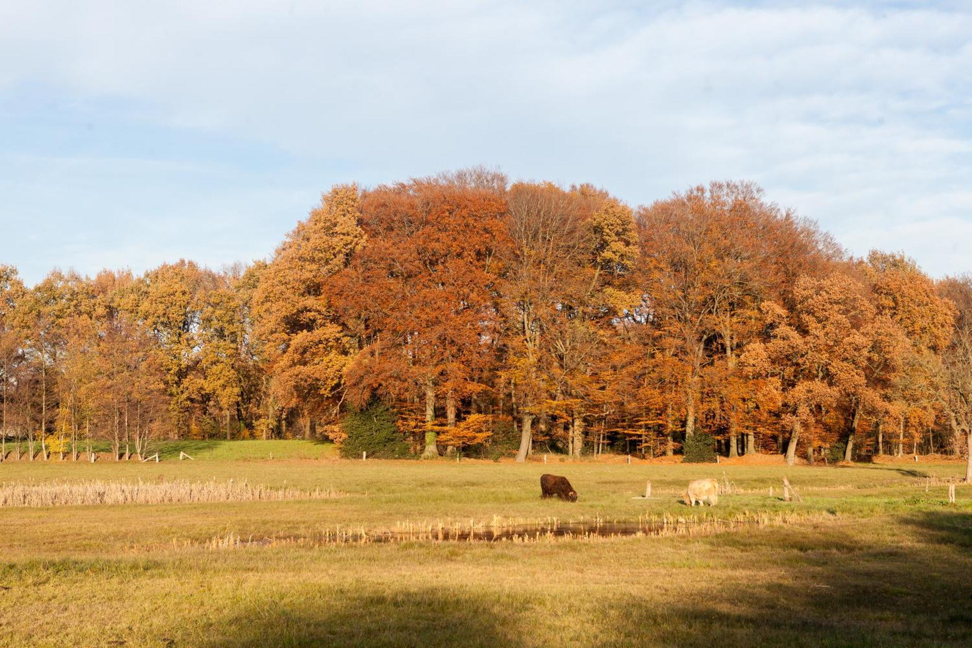 Hoeve Springendal Erf&Bron Hezingen Buitenkant foto