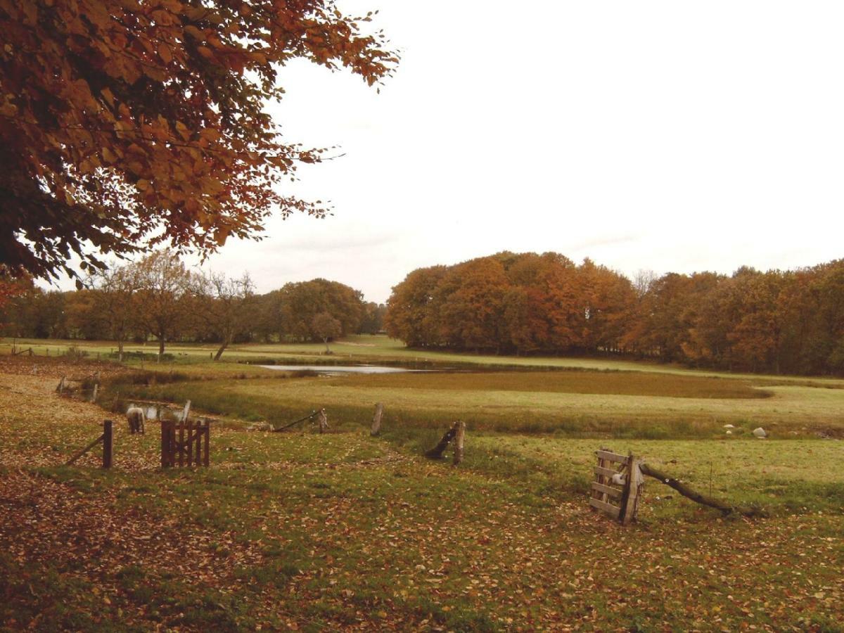 Hoeve Springendal Erf&Bron Villa Hezingen Buitenkant foto