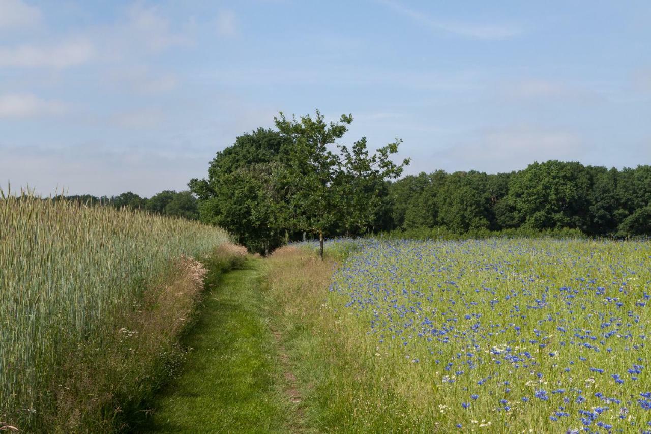 Hoeve Springendal Erf&Bron Hezingen Buitenkant foto